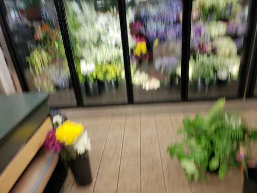 Florist «Metropolitan Plant & Flower», reviews and photos, 840 NJ-17, Paramus, NJ 07652, USA