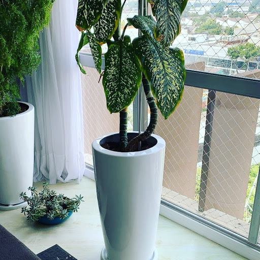 Logo da empresa - Jardinagem Pirani