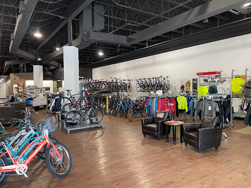 Bicycle Store «Colonial Bicycle Company - Portsmouth», reviews and photos, 775 Lafayette Rd #5, Portsmouth, NH 03801, USA