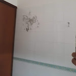 Photo n°10 de l'avis de H. fait le 24/11/2018 à 10:37 sur le  ALDERO Hotel à Civita Castellana