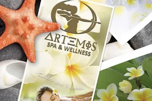 Spa ARTEMİS Emre Beach Hotel image