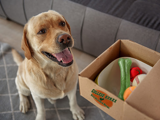 Moving Company «College Hunks Hauling Junk and Moving», reviews and photos, 5044 B U Bowman Dr #105, Buford, GA 30518, USA