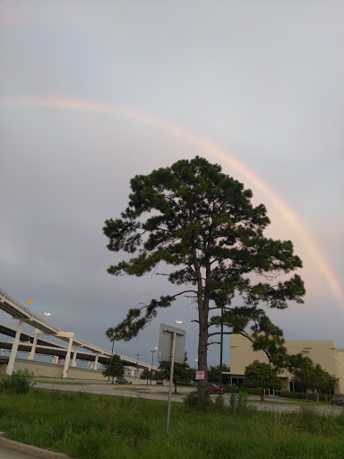 Auto Parts Store «XL Parts», reviews and photos, 15500 Hempstead Rd, Houston, TX 77040, USA