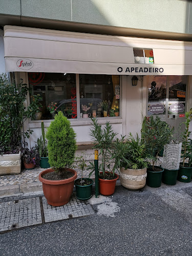 O Apeadeiro em Moscavide