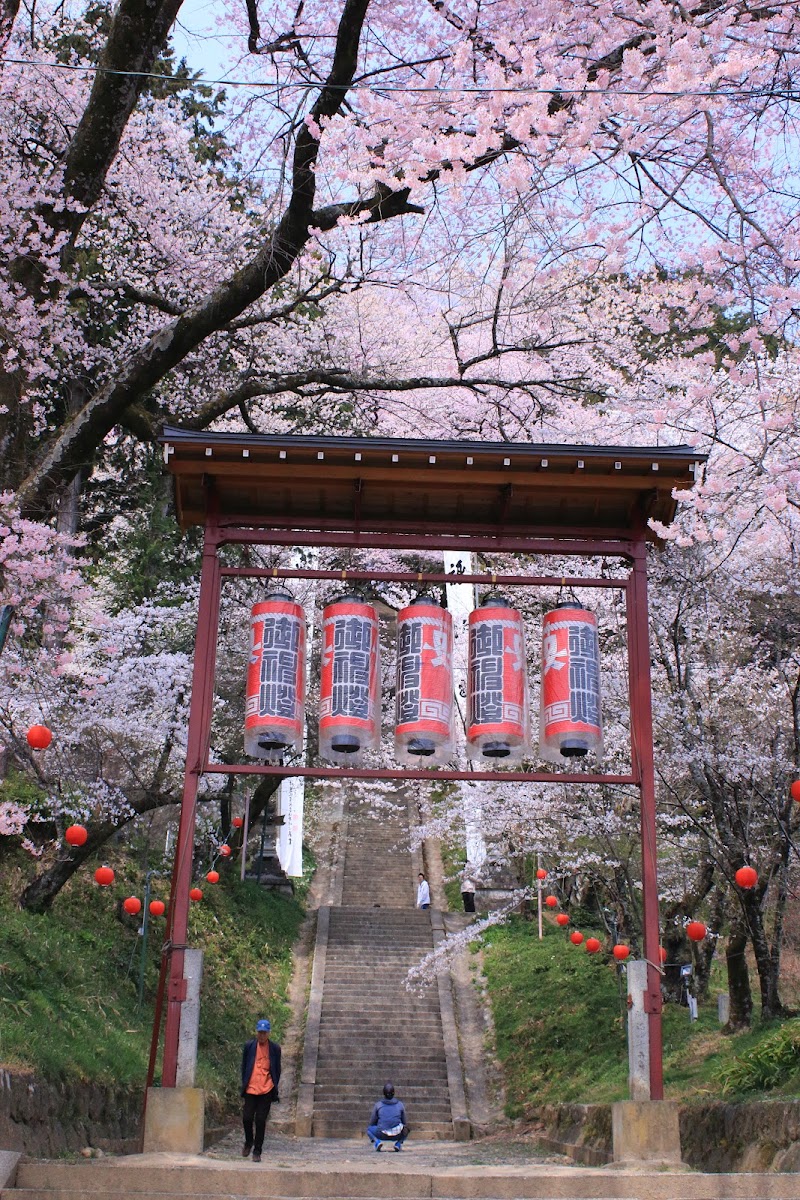 飯沼諏訪神社の石段桜