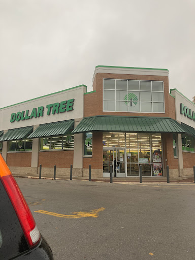 Dollar Tree