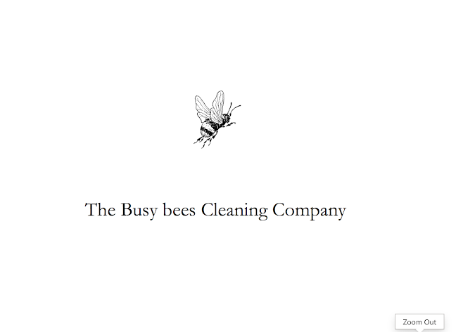 Comments and reviews of The Busy Bees Cleaning Company
