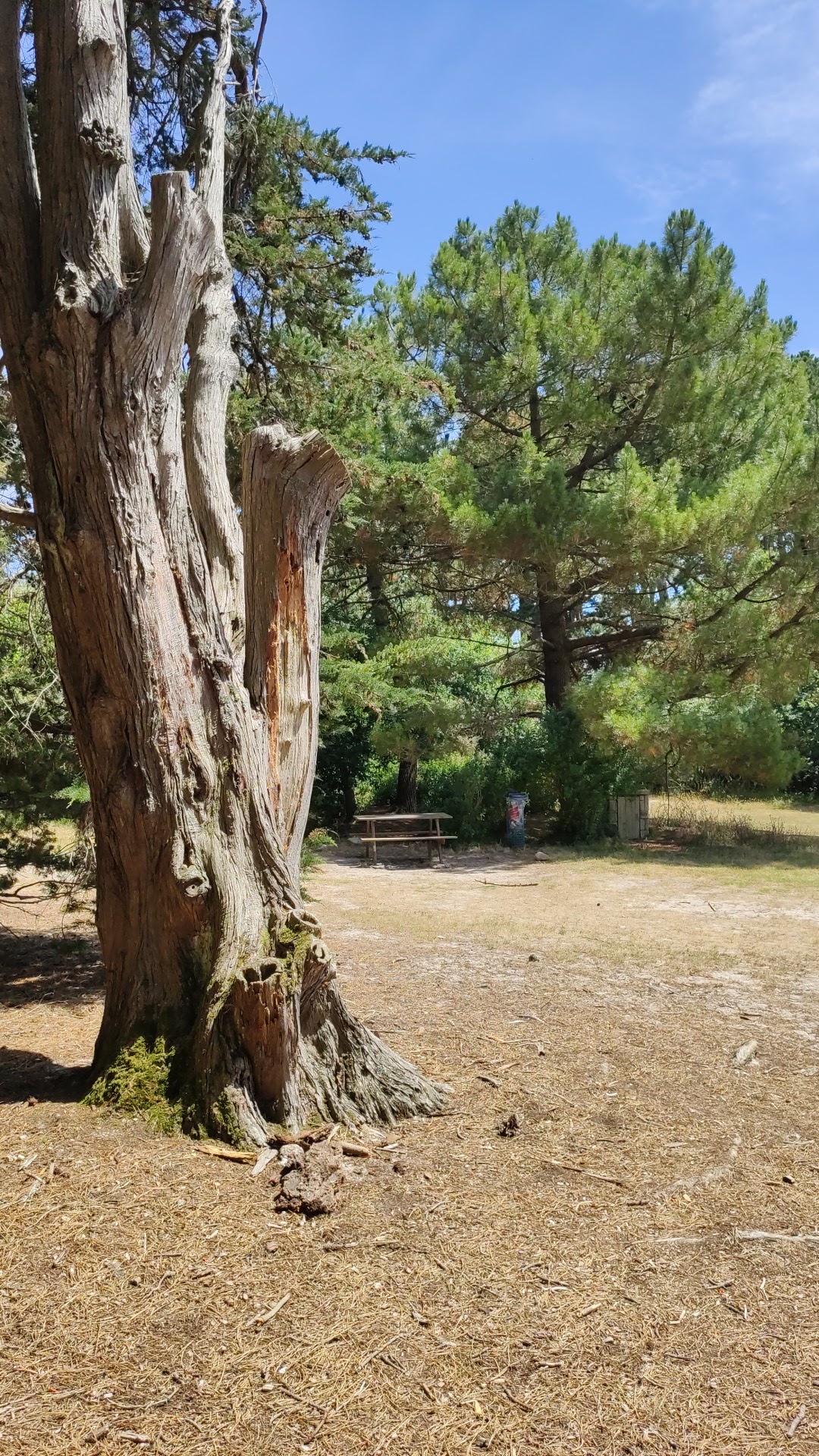 Photo n° 2 de l'avis de Marina.e fait le 10/07/2019 à 12:15