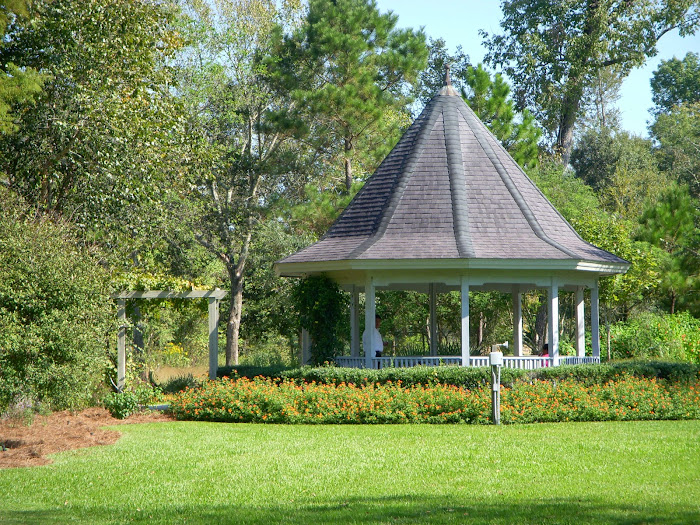 Park near Your Home in Harlem