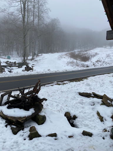 Discount Store «Dollar General», reviews and photos, 117 Winters St, Elk Park, NC 28622, USA