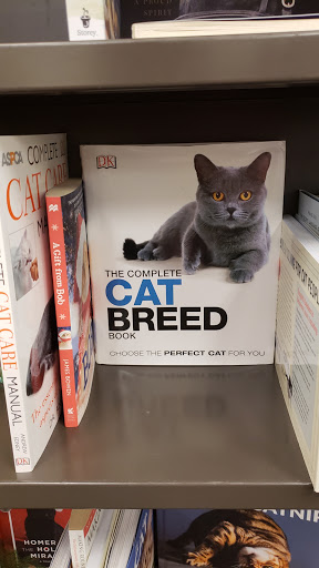 Book Store «Books-A-Million», reviews and photos, 800 Coastal Grand Cir, Myrtle Beach, SC 29577, USA