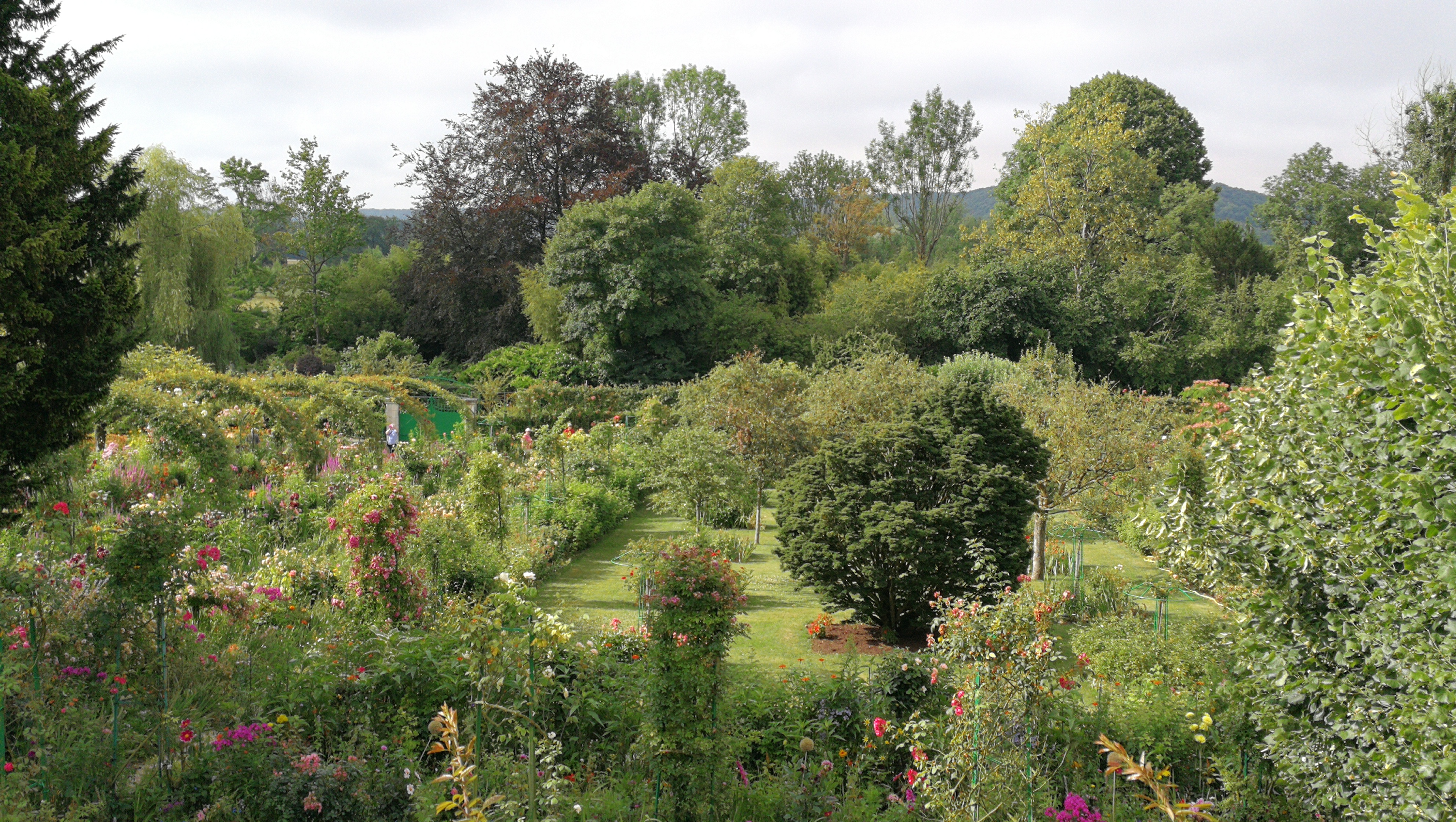 Photo n° 2 de l'avis de barbe.e fait le 10/07/2018 à 17:25