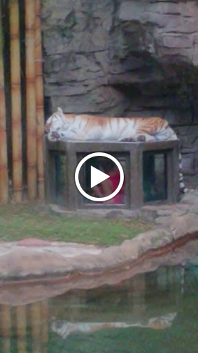 Performing Arts Theater «Pantopia Theater», reviews and photos, 3000 E Busch Blvd, Tampa, FL 33612, USA