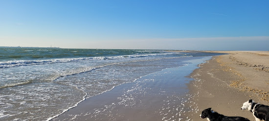 De Hors Beach