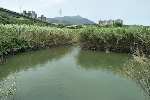 Shuhong Ecological Park image