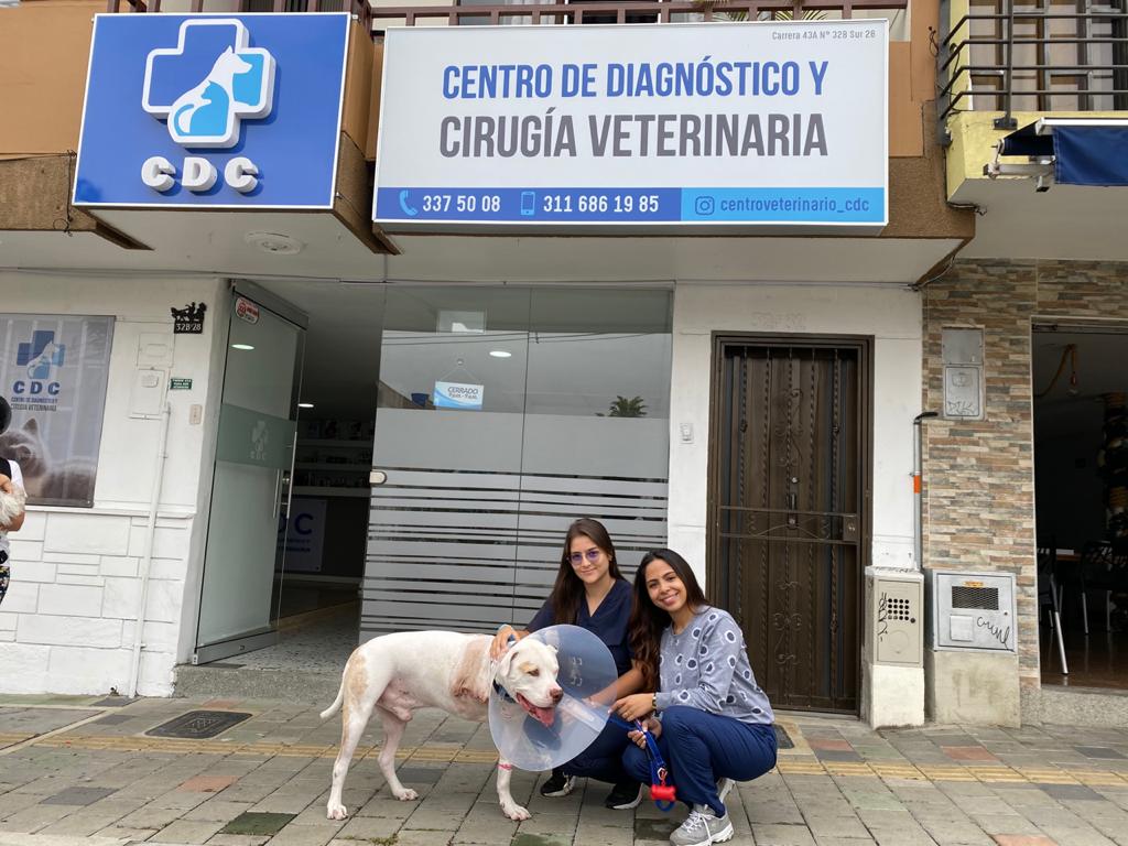 Centro de diagnóstico y cirugía veterinaria CDC