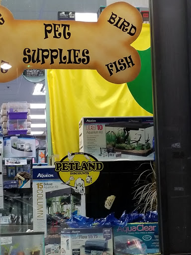 Pet Supply Store «Petland Discounts - Ozone Park», reviews and photos, 91-08 Atlantic Ave, Ozone Park, NY 11416, USA