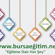 Bursaegitim.net