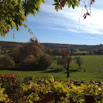 Photo n°3 de l'avis de Dirk.e fait le 12/09/2021 à 15:40 sur le  Weinhof Rupp à Pfinztal