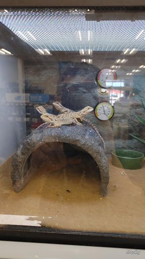 Pet Supply Store «Petco Animal Supplies», reviews and photos, 597 Hebron Rd #2, Heath, OH 43056, USA