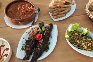 مطعم عروسة البحر للأسماك image