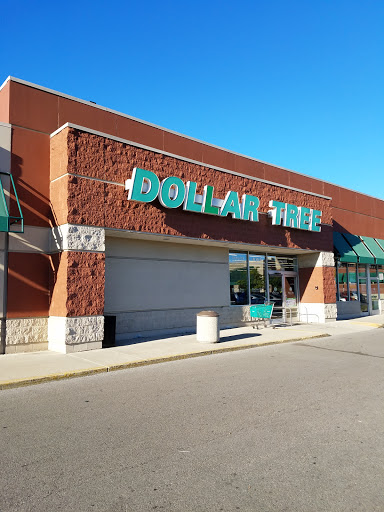 Dollar Store «Dollar Tree», reviews and photos, 5918 Middlebelt Rd, Garden City, MI 48135, USA