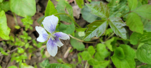 Museum «Barclay Farmstead Museum», reviews and photos, 209 Barclay Ln, Cherry Hill, NJ 08034, USA