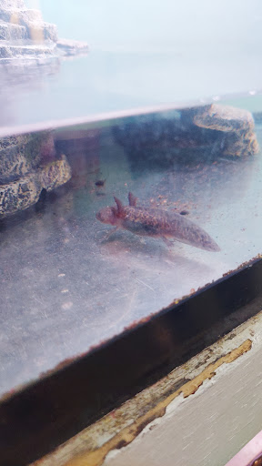 Pet Store «Teske Pet & Garden», reviews and photos, 2423 16th St, Moline, IL 61265, USA