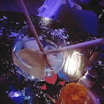 Photo n° 1 de l'avis de Ciindy.a fait le 15/02/2023 à 07:42 pour NOA à Conflans-Sainte-Honorine