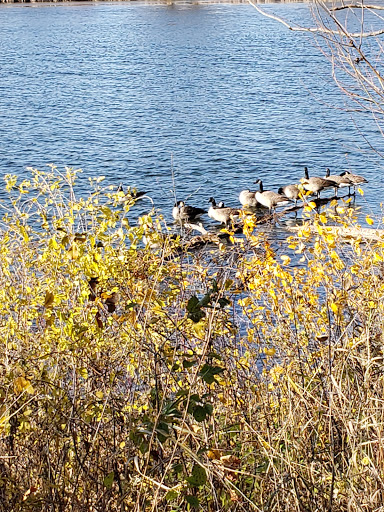 Nature Preserve «Lakewood Forest Preserve», reviews and photos, 27277 N Forest Preserve Rd, Wauconda, IL 60084, USA