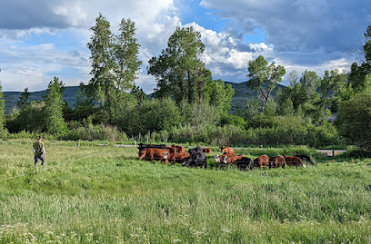 3 Springs Land and Livestock