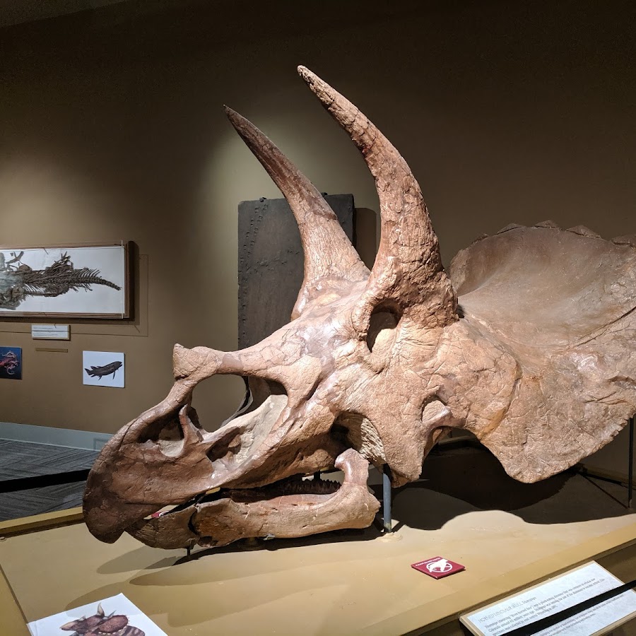 University of Colorado Museum of Natural History