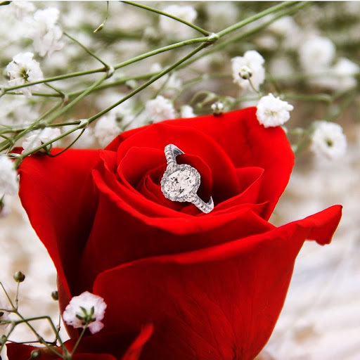 Jewelry Store «Michael Agnello Jewelers», reviews and photos, 31500 Harper Ave, St Clair Shores, MI 48082, USA