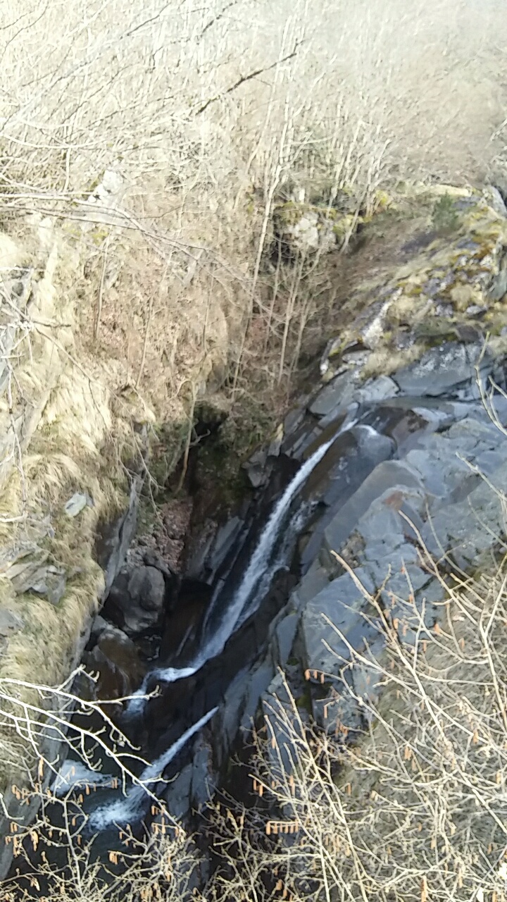 Photo n° 2 de l'avis de Zolade.o fait le 17/04/2019 à 19:39