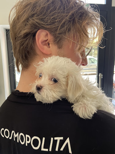 Cosmopolita Barberia | Barbershop Κουρείο αθήνα - Αθήνα