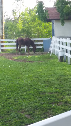 Tourist Attraction «Walton House», reviews and photos, 28501 SW 187th Ave, Homestead, FL 33030, USA
