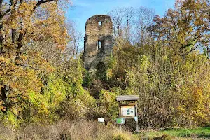 Ruine Speckfeld image