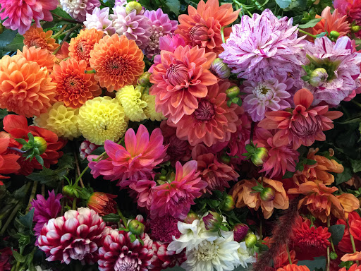 Florist «Jephry Flower Studio», reviews and photos, 432 Broadway, Providence, RI 02909, USA