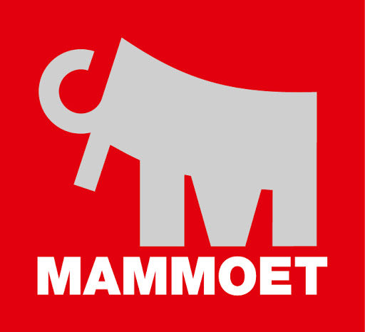 Mammoet France