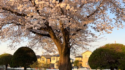 山王団地１号公園
