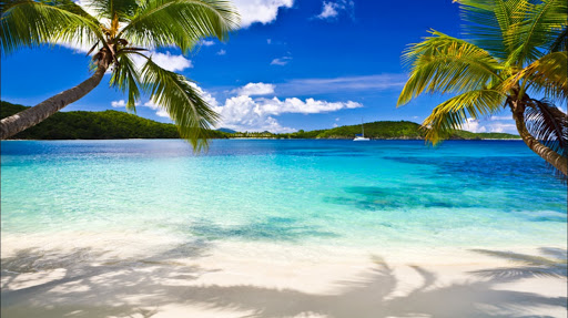 Find tattoo sleeve cover up ideas for your next unique tattoo in Hilo at Pacific Island Ink