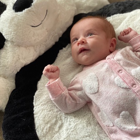 Baby Store «Twinkle Twinkle Little One», reviews and photos, 2007 W Belmont Ave, Chicago, IL 60618, USA