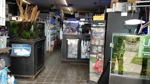 Tropical Fish Store «C K Fish World», reviews and photos, 410 N Azusa Ave, West Covina, CA 91791, USA