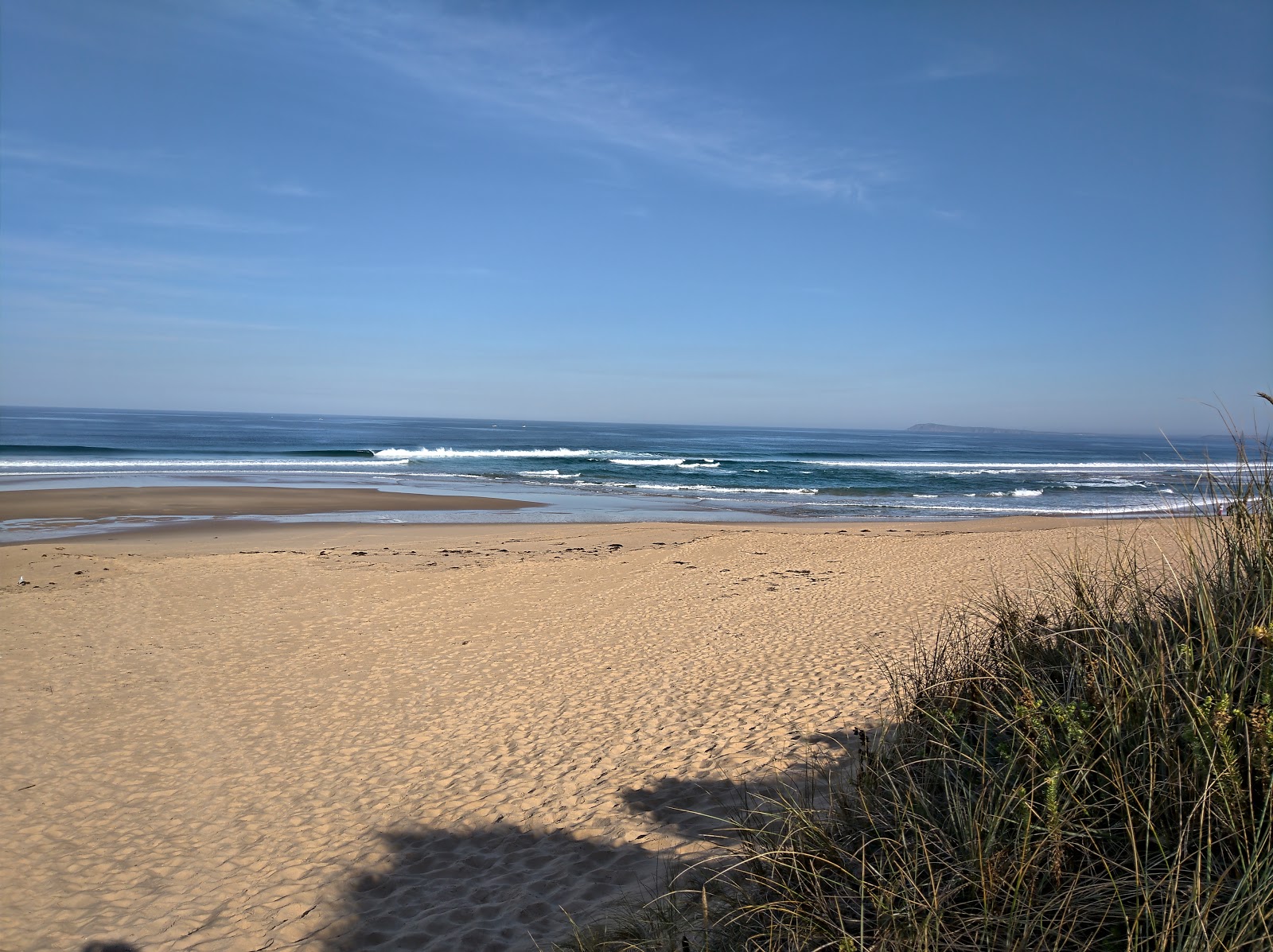Williamson's Beach的照片 带有碧绿色纯水表面