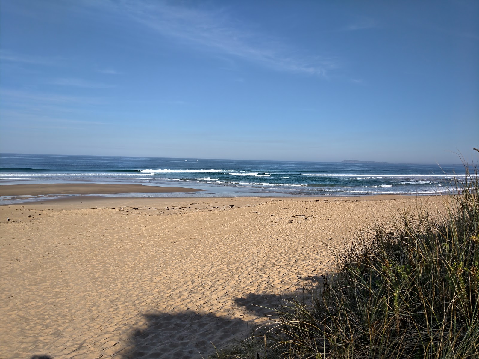 Foto di Williamson's Beach con costa lunga e dritta