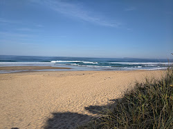Foto di Williamson's Beach con costa lunga e dritta