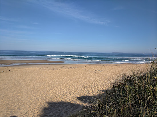 Williamson's Beach
