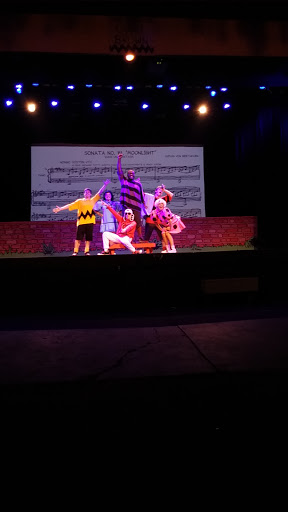 Performing Arts Theater «Plays-In-The-Park», reviews and photos, 1 Pine Dr, Edison, NJ 08837, USA