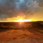 Photo n°6 de l'avis de salvatore.a fait le 27/07/2017 à 16:03 sur le  Cerrosughero à Canino