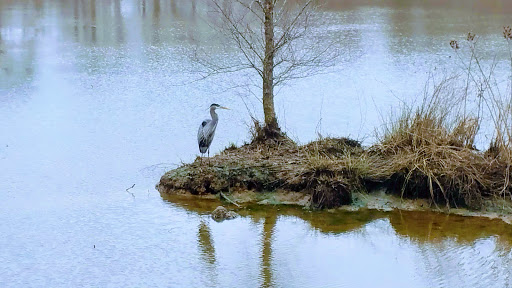 Nature Preserve «Chattahoochee Nature Center», reviews and photos, 9135 Willeo Rd, Roswell, GA 30075, USA